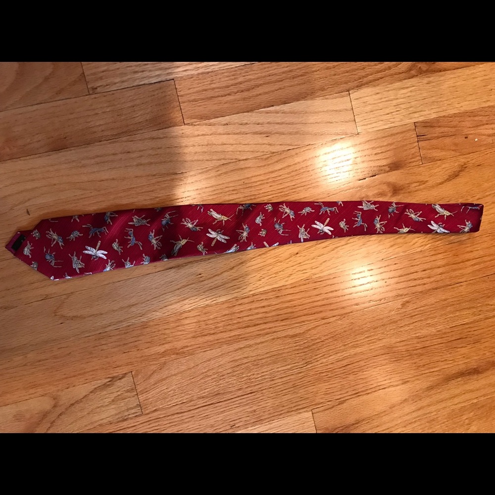 New Dragonfly Bugs Silk Tie-Conversation starter!